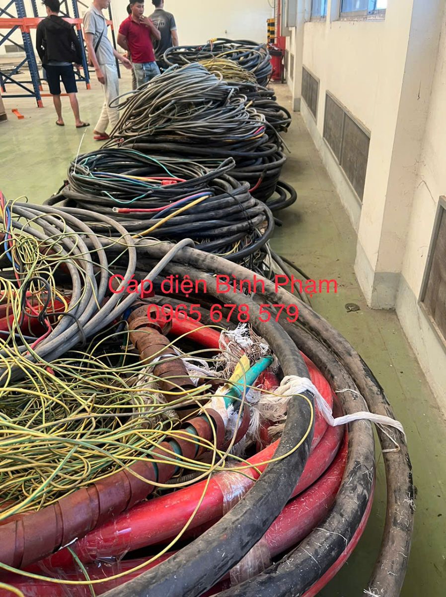 Thu mua phế liệu miền Tây giá cao