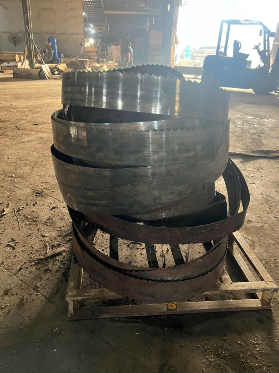 thu mua phế liệu lưỡi cưa giá cao