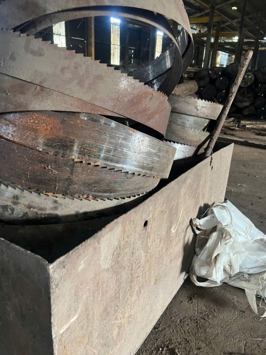 thu mua phế liệu lưỡi cưa giá cao